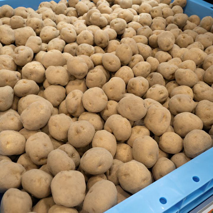 steptodown.com500314